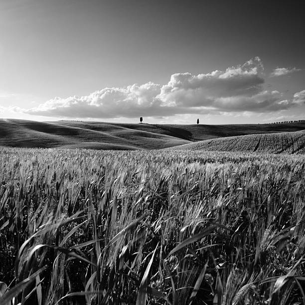 istock Monochrome landscape valley in Italy 155420778