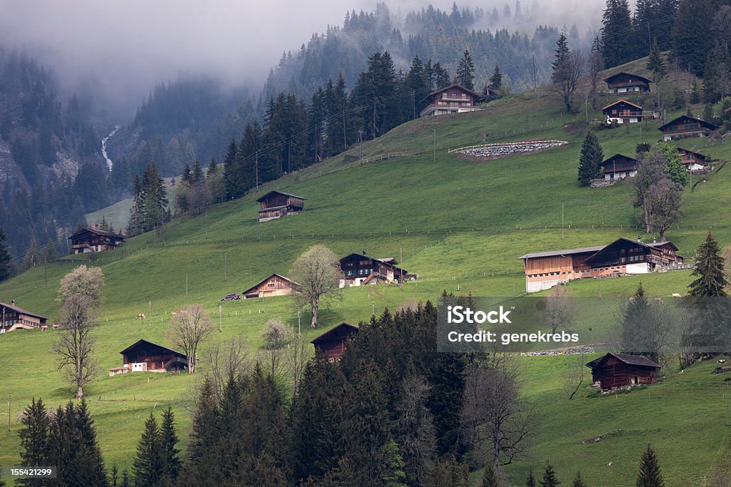 Nevoeiro a tarde de primavera, encosta com fazendas, Bernese Oberland - Foto de stock de Agricultura royalty-free