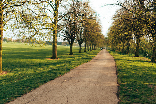 footpath on the park in Uk