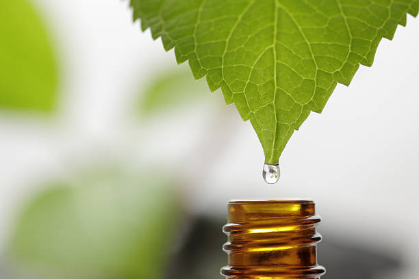 drop - herbal medicine aromatherapy homeopathic medicine aromatherapy oil стоковые фото и изображения