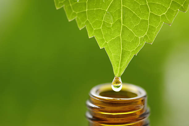 Drop  aromatherapy oil photos stock pictures, royalty-free photos & images