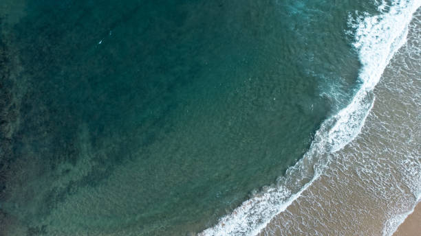 istock Illaroo Campgrounds, Yuraygir National Park, Minnie Waters, 1554233706