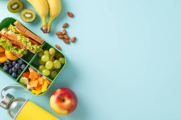 istock Fuel educational breaks with a top-down composition highlighting lunch box with vegan sandwiches and other food on blue isolated background, inviting the addition of text or advertorial content 1554251704