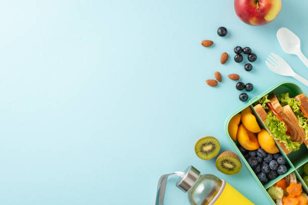 istock Refresh your study break: Top view photograph featuring a lunch box containing sandwiches, fruits, vegetables and a water bottle on a pastel blue isolated surface, perfect for text or advertisements 1554251723