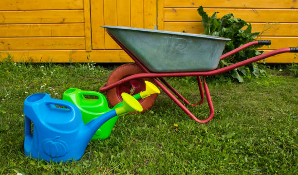 istock watering cans - green and blue on bright juicy grass 1554254622