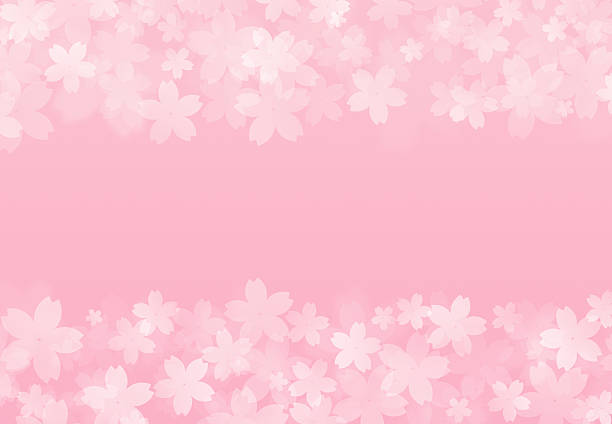 many petals on pink background