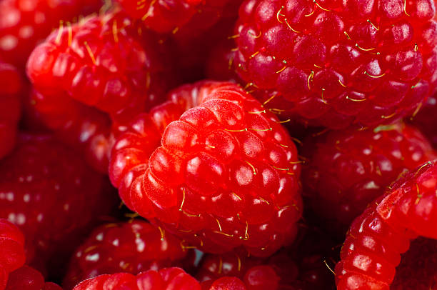 istock macro  red raspberries on square plate white background 155425955