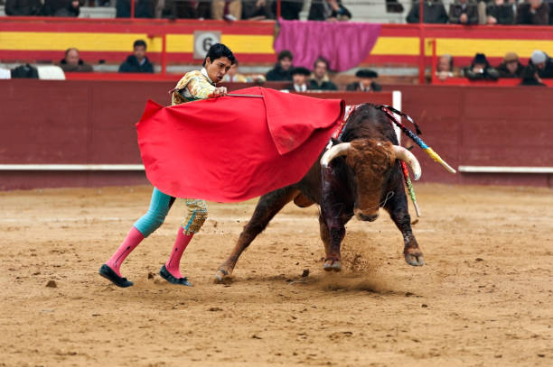 Bullfighter Bullfighter and bull in action. Spain banderilla stock pictures, royalty-free photos & images