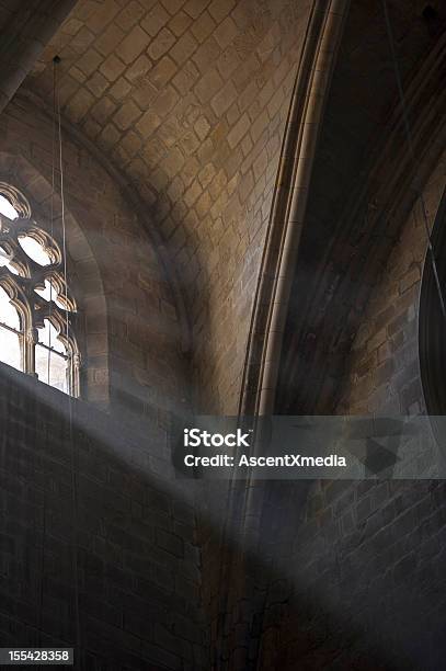 Eucalyptus Luz - Fotografias de stock e mais imagens de Arquitetura - Arquitetura, Catedral, Conceitos e tópicos