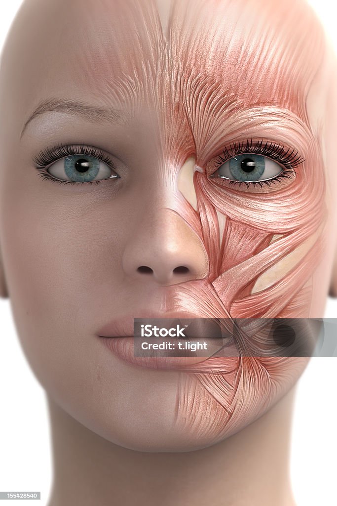 Imitar músculo de la cara - Foto de stock de Cara humana libre de derechos