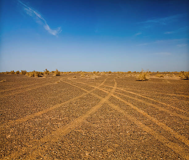 Car tire tracks in the gobi desert stock photo