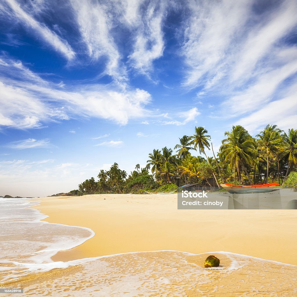 Spiaggia tropicale di Sri Lanka - Foto stock royalty-free di Spiaggia