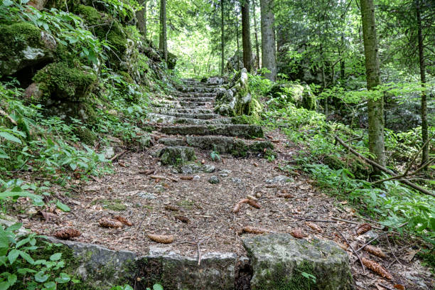 The stairs in the forest, Golubinjak, Gorski Kotar, Croatia