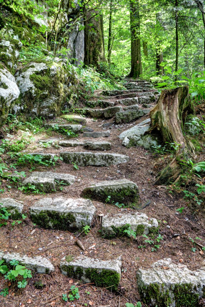 Stone stairs in the forest, Golubinjak, Gorski Kotar, Croatia