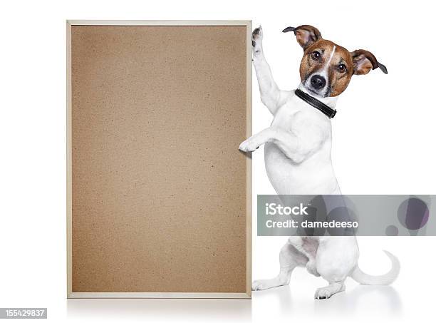 Dog With A Wood Board Stock Photo - Download Image Now - Dog, Paw, Animal