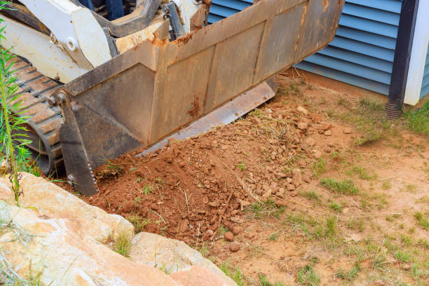 istock Through its diligent soil relocation mini bulldozer plays vital role in the comprehensive improvement 1554305707