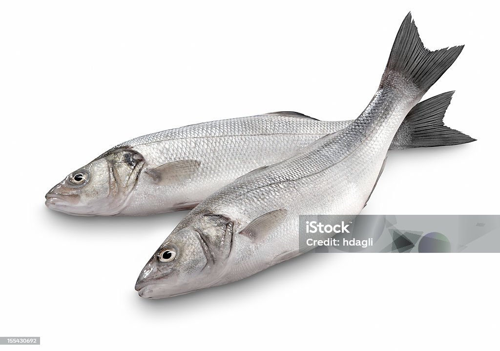 Sea Bass Fish Stock Photo