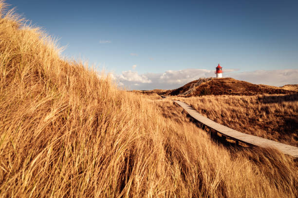 Lighthouse in the dunes  amrum stock pictures, royalty-free photos & images