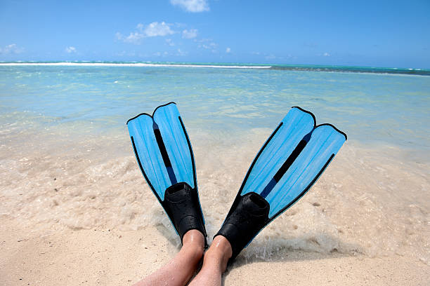 istock diving flippers on tropical beach 155430893