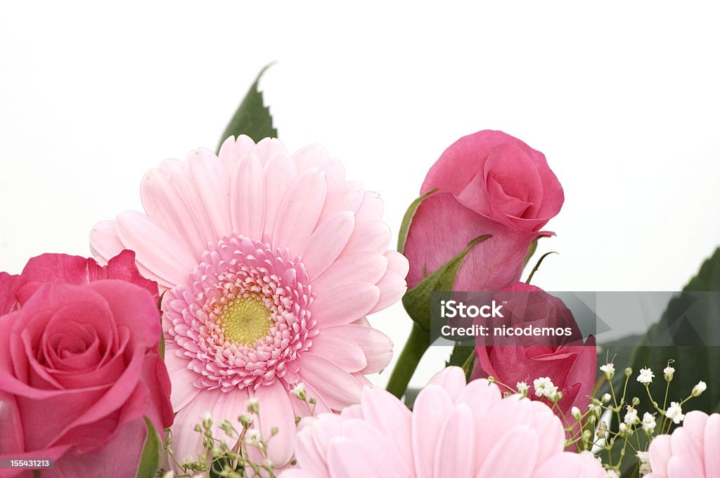 Pink Flowers Frame Frame with beautiful pink Flowers. Pink Color Stock Photo