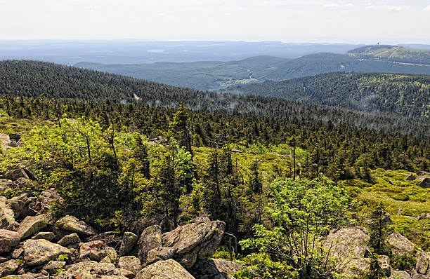HDR of Harz National Park landscape (Germany)