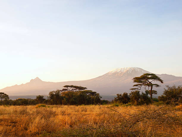 istock Barren area around mount Kilimanjaro 155431515