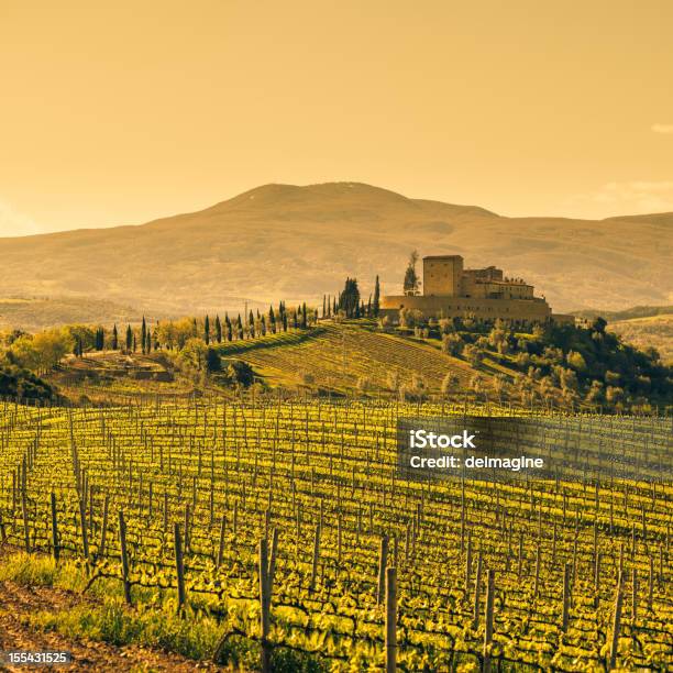 Fattoria Toscana Vineyard - Fotografie stock e altre immagini di Agricoltura - Agricoltura, Ambientazione esterna, Azienda vinicola