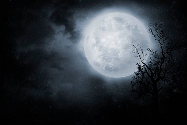 Night sky Night sky with full moon and old tree. On dark background full moon stock pictures, royalty-free photos & images