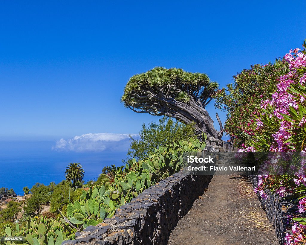 Amostra de La Palma, Ilhas Canárias - Royalty-free Ilhas Canárias Foto de stock