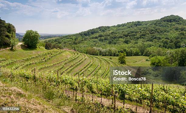 Bella Panorama Di Vigneti Nel Nord Italia - Fotografie stock e altre immagini di Azienda vinicola - Azienda vinicola, Friuli Venezia Giulia, Agricoltura