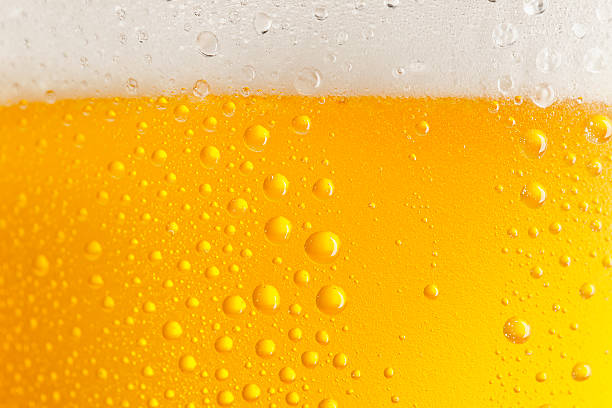 istock Glass of Light Beer  with foam 155432258