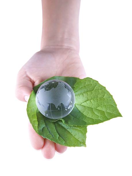 istock Glass Globe in the leaves and hand 155432438