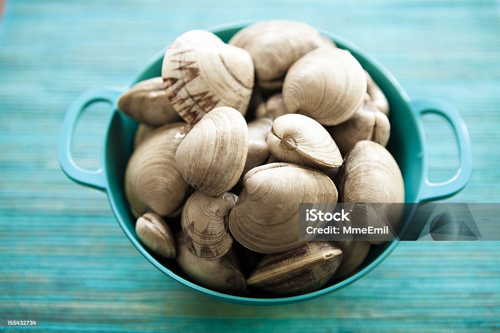 Clams Seafood: Fresh live clams in a turquoise colander. Clam - Seafood Stock Photo