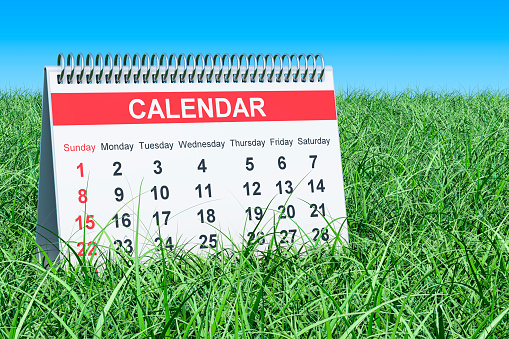 Desk Calendar on the green grass against blue sky, 3D rendering