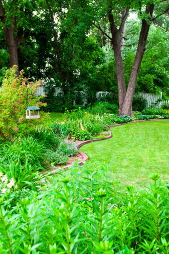 a lush green backyard lawn and flower beds with trees, landscaping and various garden varieties.