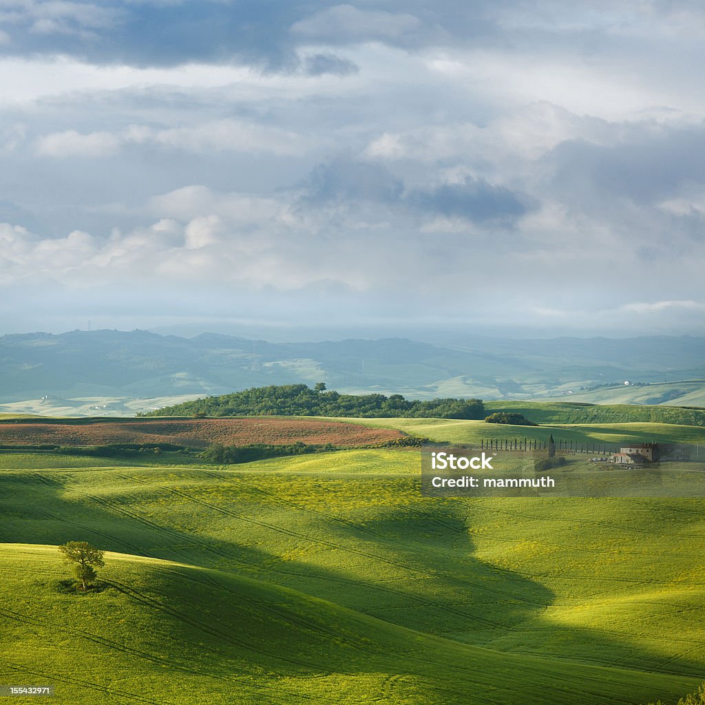 Grünen Hügeln der Toskana in den Frühling - Lizenzfrei Agrarbetrieb Stock-Foto