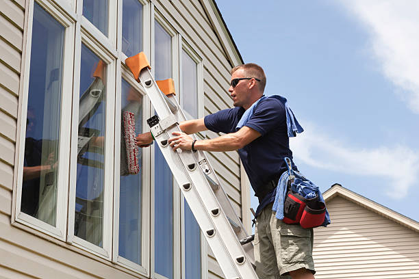 Window Washing Professional Stock Photo - Download Image Now - Window  Washer, Cleaning, Window - iStock