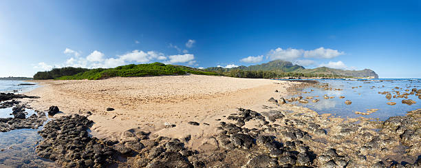 maha "ulepu пляж панорама, кауаи - mahaulepu beach стоковые фото и изображения