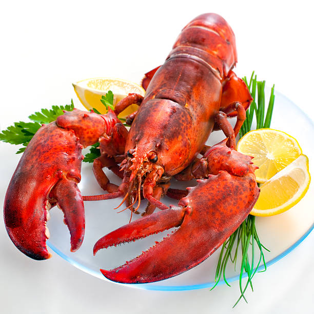 istock A whole lobster on a plate for dinner 155434284