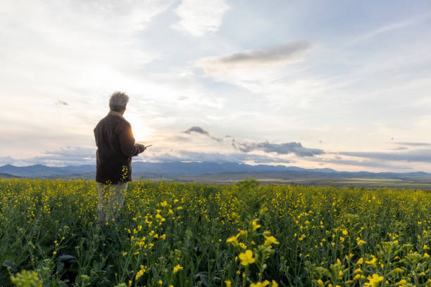 istock Farmer looks towards canola field, mountains distant 1554348039