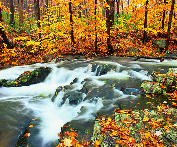 istock Autumn waterfall in New York 155436966