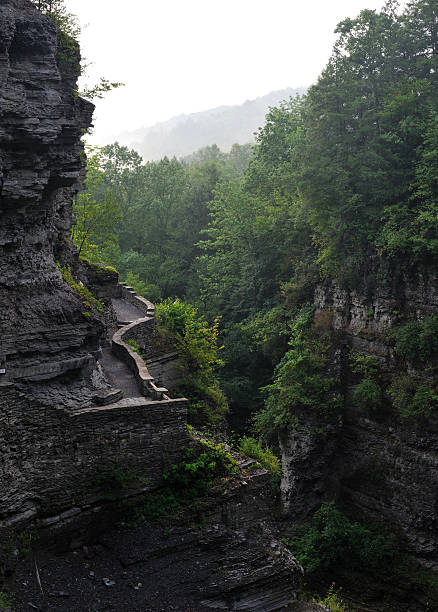 istock Scenic gorge in Robert H. Treman State Park 155437027