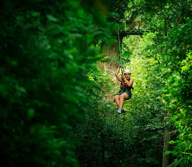 woman during a Canopy Tour in costa rica woman in her 40s doing a Zip-line canopy Tour Guatemala, zip lines between trees zip line stock pictures, royalty-free photos & images