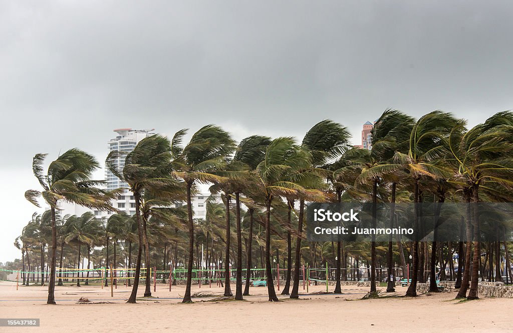 Буря на пляже - Стоковые фото Ураган роялти-фри