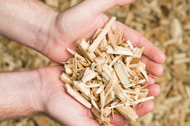 holding holz chips sind biomasse fuel - span stock-fotos und bilder