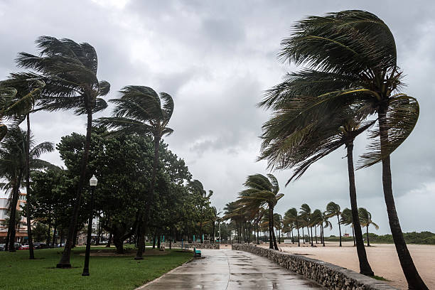 storm at the beach - tyfoon stockfoto's en -beelden
