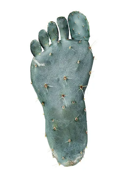 Cactus in the shape of a human foot

[url=file_closeup.php?id=13068613][img]file_thumbview_approve.php?size=1&id=13068613[/img][/url] [url=file_closeup.php?id=13068676][img]file_thumbview_approve.php?size=1&id=13068676[/img][/url] [url=file_closeup.php?id=21482016][img]file_thumbview_approve.php?size=1&id=21482016[/img][/url] [url=file_closeup.php?id=16164648][img]file_thumbview_approve.php?size=1&id=16164648[/img][/url] [url=file_closeup.php?id=16077881][img]file_thumbview_approve.php?size=1&id=16077881[/img][/url] [url=file_closeup.php?id=15877804][img]file_thumbview_approve.php?size=1&id=15877804[/img][/url] [url=file_closeup.php?id=14428422][img]file_thumbview_approve.php?size=1&id=14428422[/img][/url] [url=file_closeup.php?id=14428407][img]file_thumbview_approve.php?size=1&id=14428407[/img][/url]
[url=file_closeup.php?id=10870256][img]file_thumbview_approve.php?size=1&id=10870256[/img][/url] [url=file_closeup.php?id=19436858][img]file_thumbview_approve.php?size=1&id=19436858[/img][/url] [url=file_closeup.php?id=19409163][img]file_thumbview_approve.php?size=1&id=19409163[/img][/url] [url=file_closeup.php?id=16523746][img]file_thumbview_approve.php?size=1&id=16523746[/img][/url] [url=file_closeup.php?id=21509413][img]file_thumbview_approve.php?size=1&id=21509413[/img][/url]