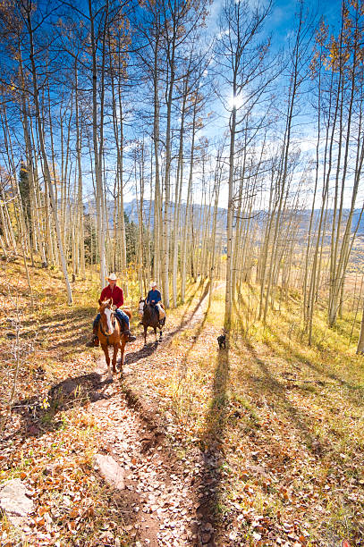rocky mountain dla jesień krajobraz - cowboy horseback riding nature blue zdjęcia i obrazy z banku zdjęć