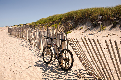 A bicycle leans against a sand fence on Sandy Neck Beach in Barnstable while its owner takes a swim.