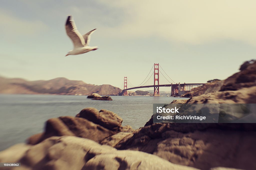 Ponte Golden Gate - Foto de stock de Califórnia royalty-free